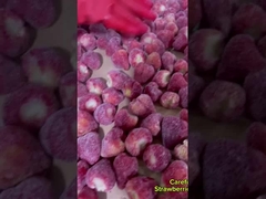 Taze Malzemeler Hızlı ve Lezzetli Dondurulmuş Çilekler