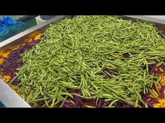 Eklenmiş şeker veya koruyucu maddeleri olmayan kurutulmuş sebzeler